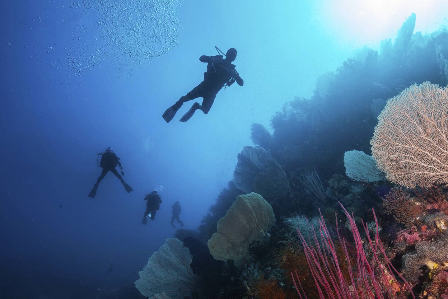 scuba diving in indonesia