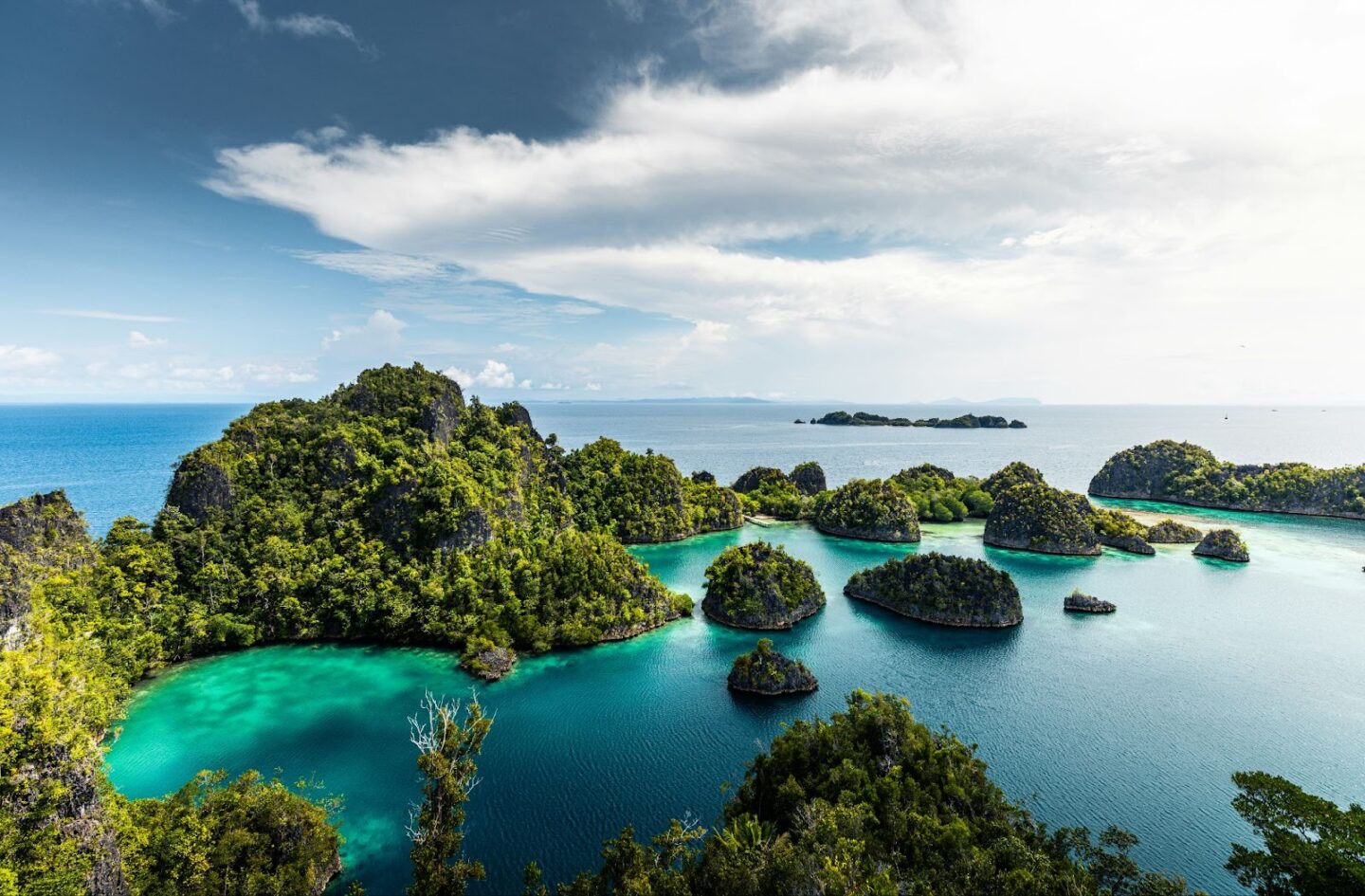 The Rise of Raja Ampat - La Galigo Liveaboard