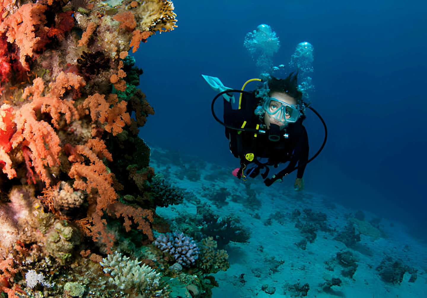 Scuba Skills: How to Become a Self-Sufficient Diver - La Galigo Liveaboard