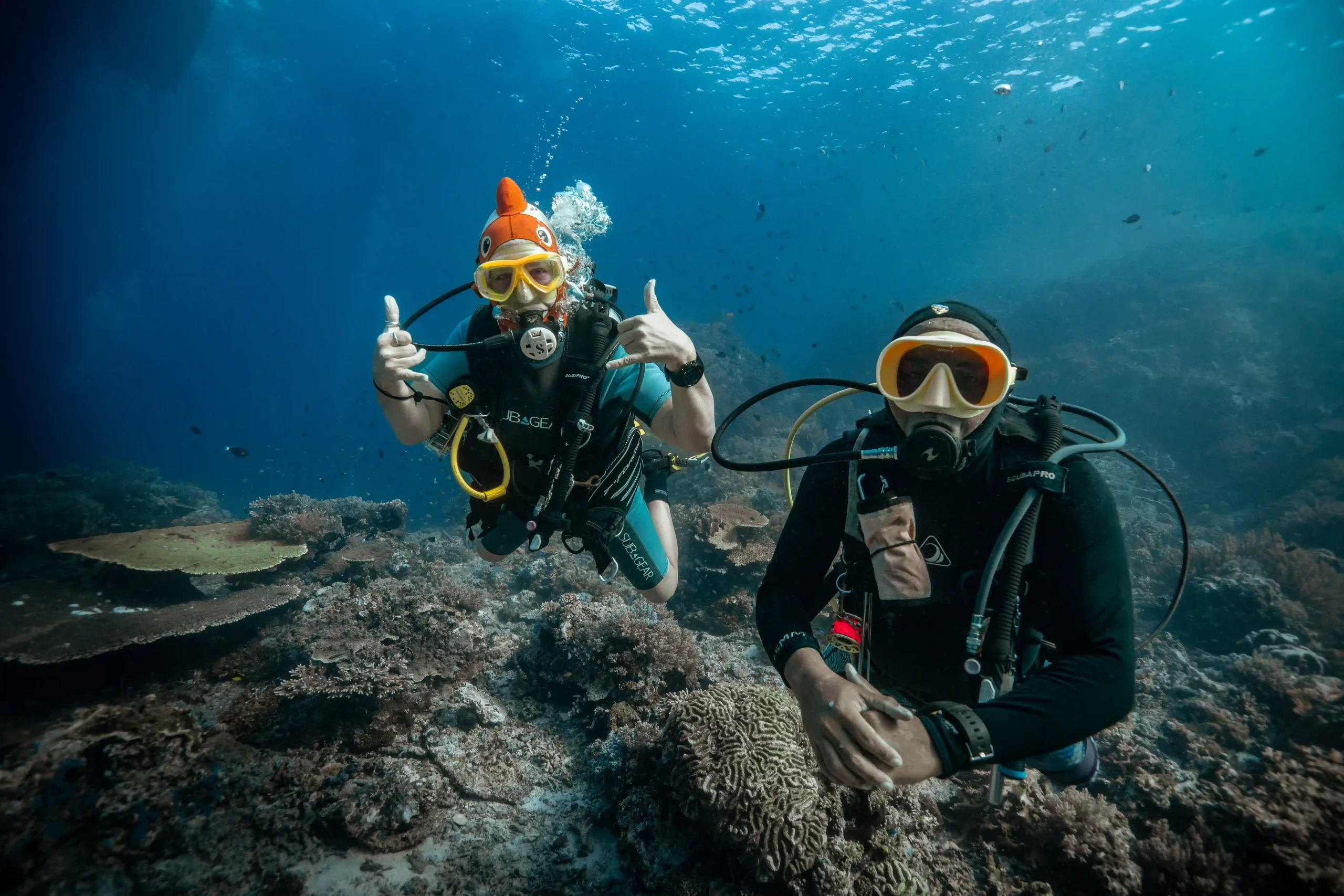 diving season indonesia