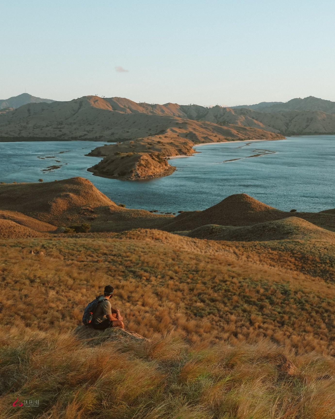 Komodo Resort, Komodo Island Hotels? Are The Komodo Islands Worth It ...