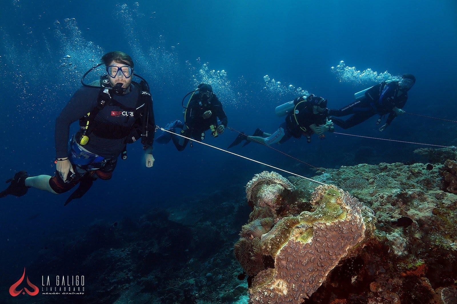 Scuba divers hanging on to a rope to protect themselves from the strong currents of Komodo Island