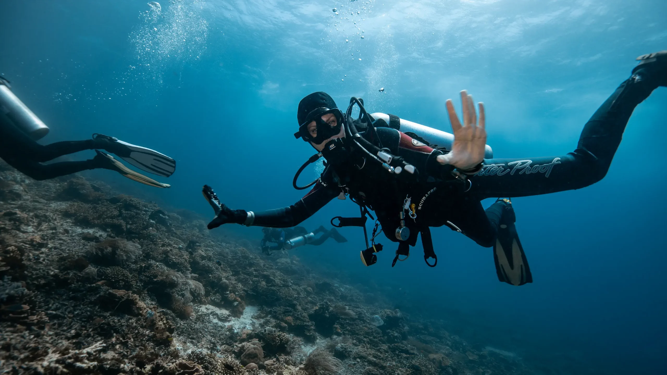 Pengah kecil dive site komodo national park