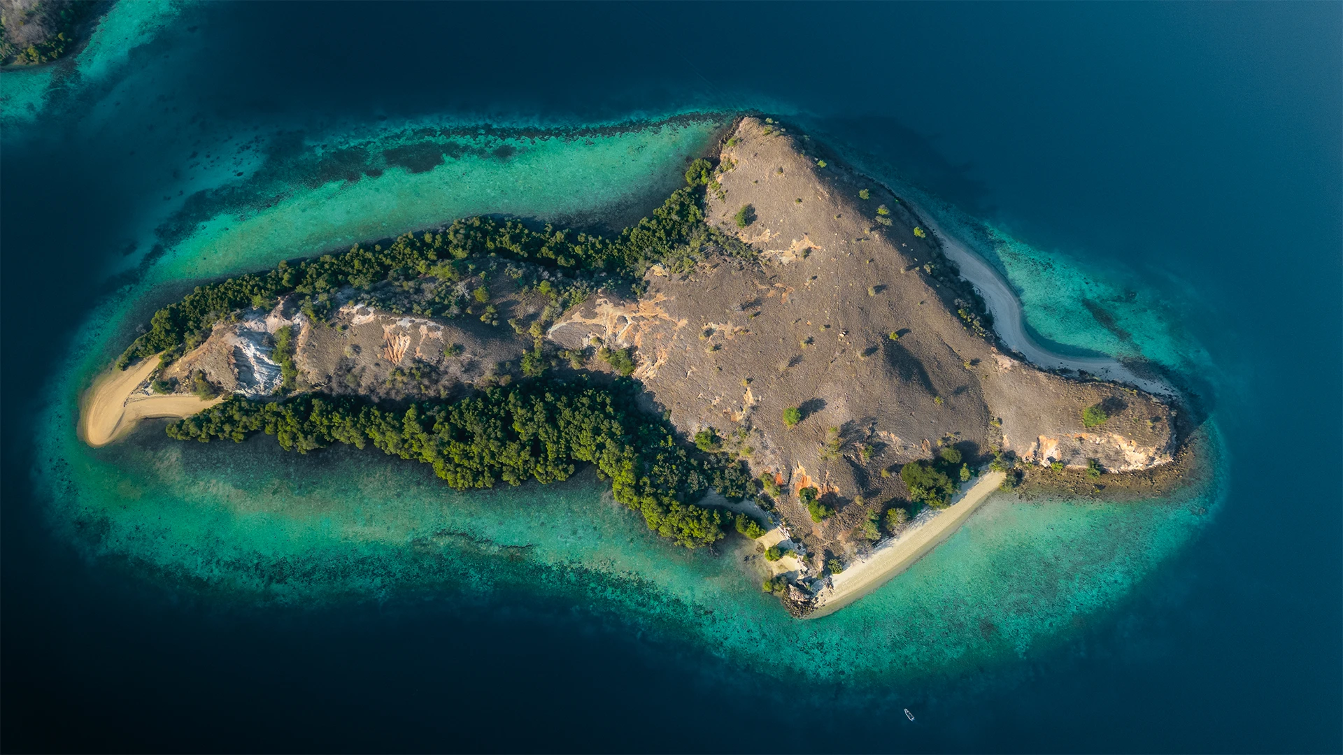 Pulau kambing dive site