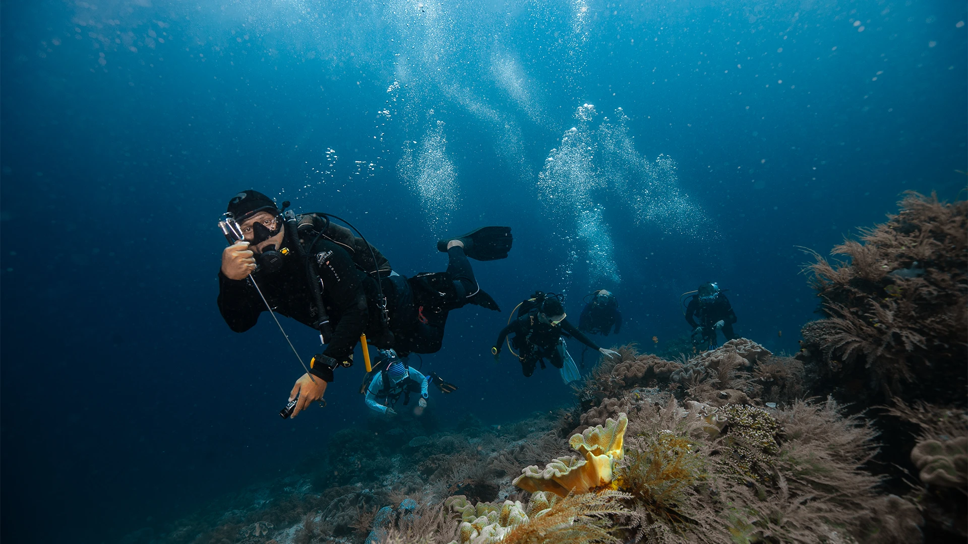 The Cauldron dive site komodo national park