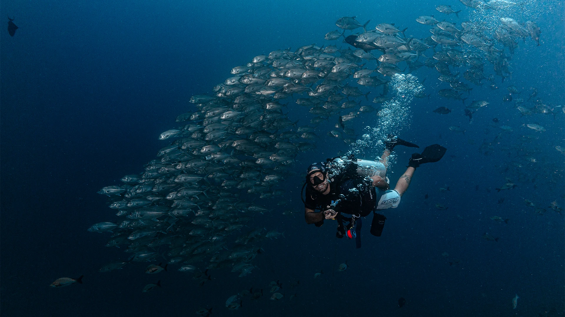 Three sisters dive site komodo national park