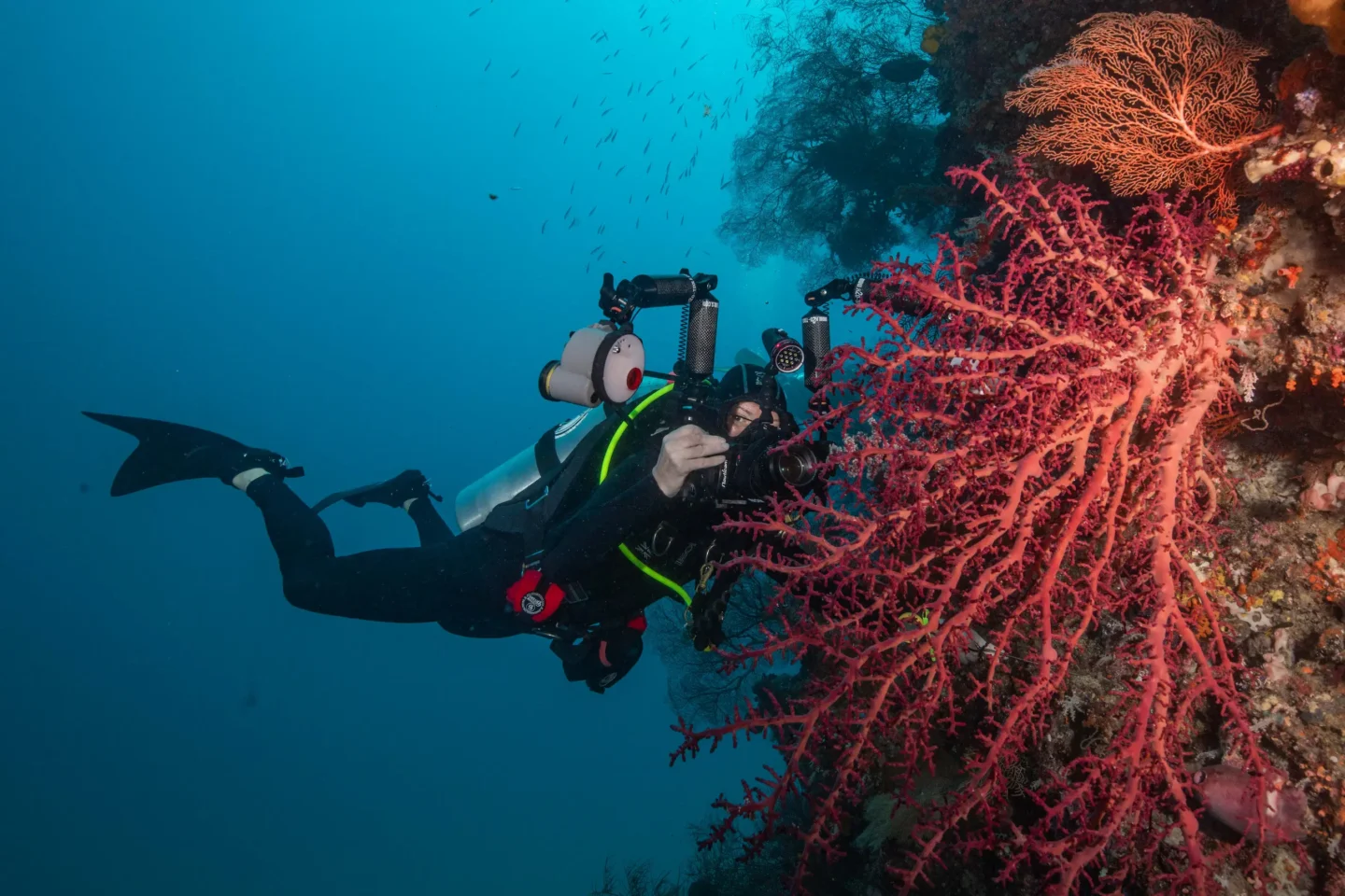 Underwater photographer in Raja Ampat looking at the camera while hiding his face among the corals