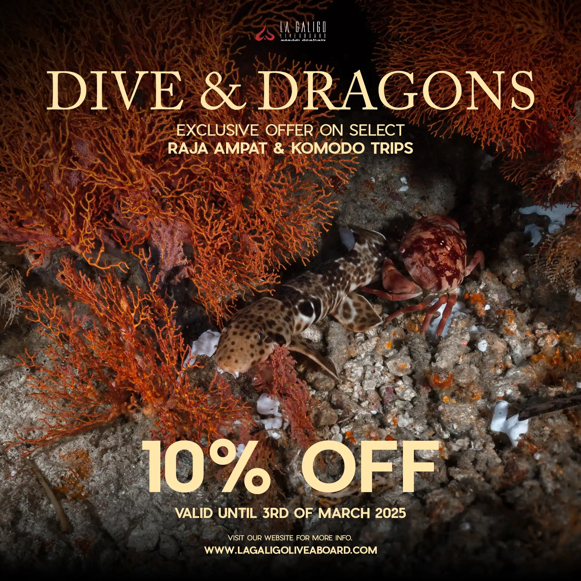 Boot dive show special offers