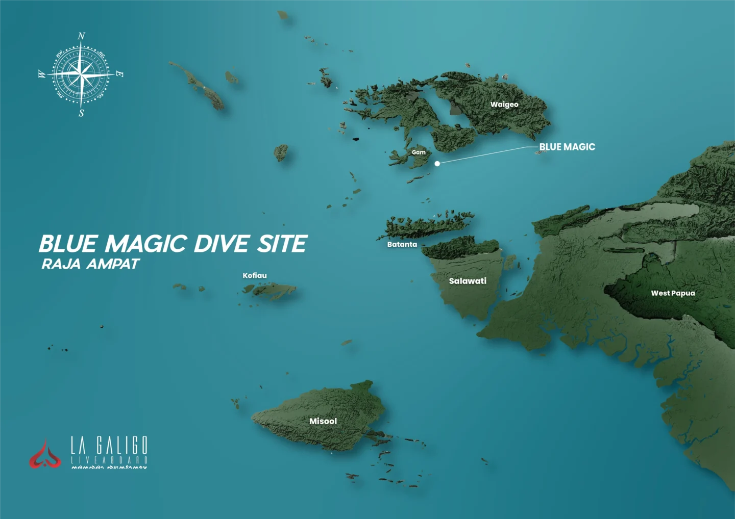 Blue Magic Dive Site, Raja Ampat